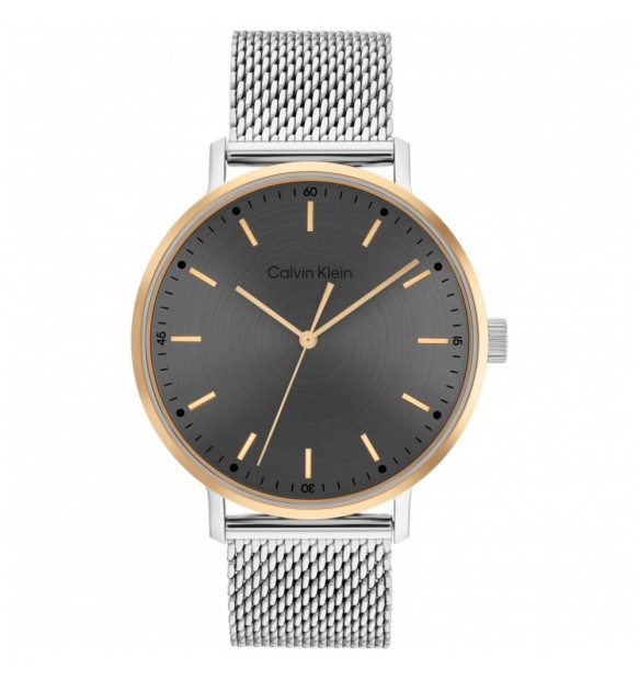 Orologio uomo Calvin Klein Timeless modern mesh 25200047